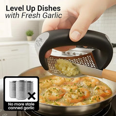 Garlic Crusher Stainless Steel